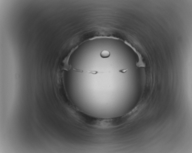 X0000115530078200911061448