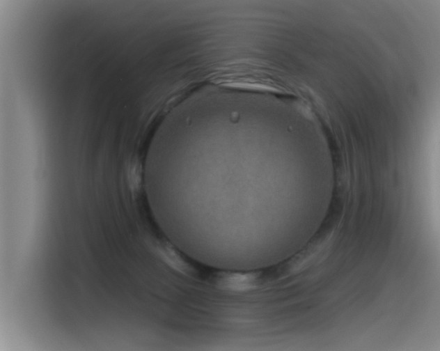 X0000115530081200911061449