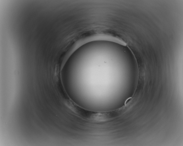 X0000115530082200911061449