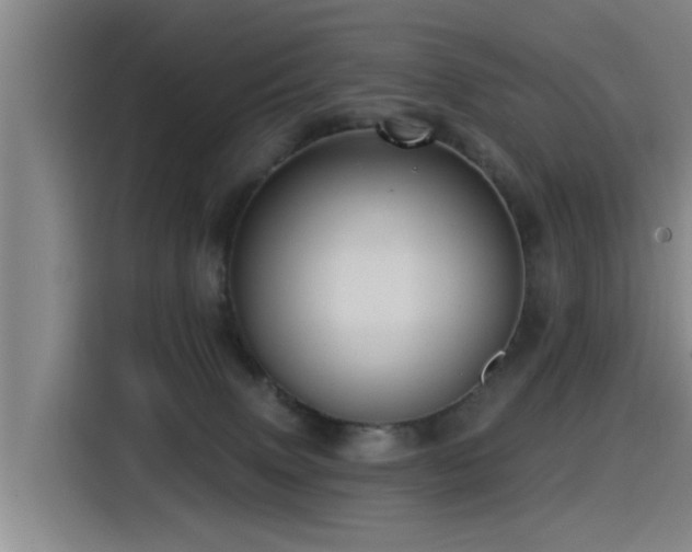 X0000115530083200911061449