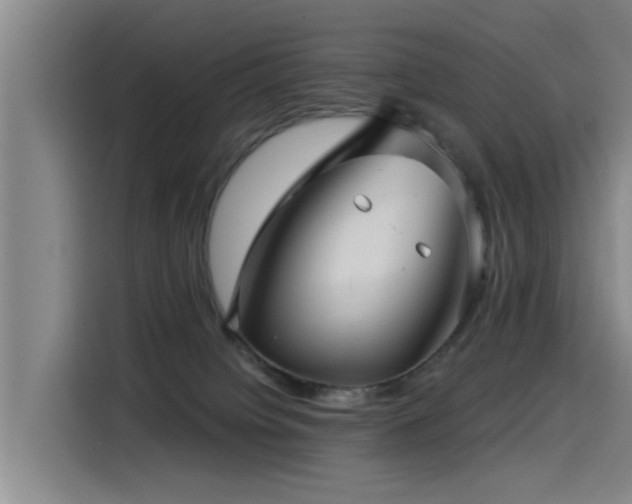 X0000115530084200911061449