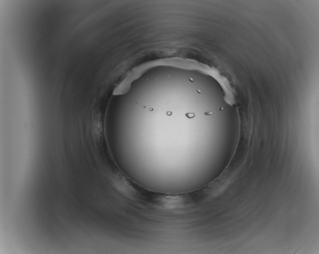 X0000115530085200911061449