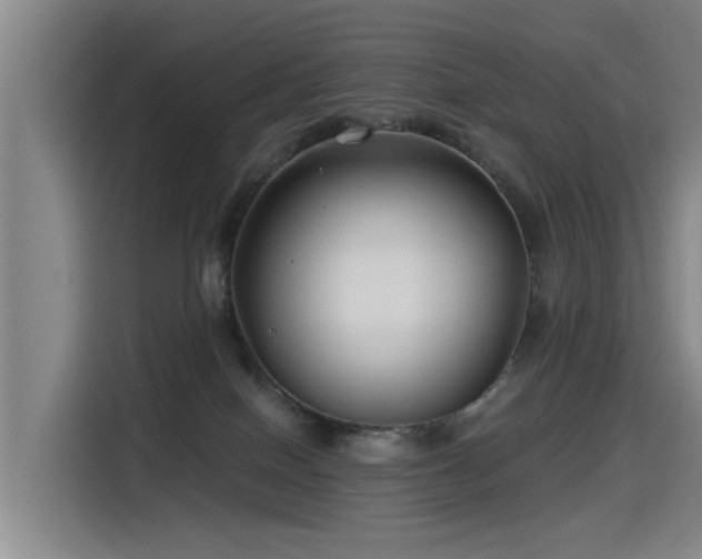 X0000115530086200911061449