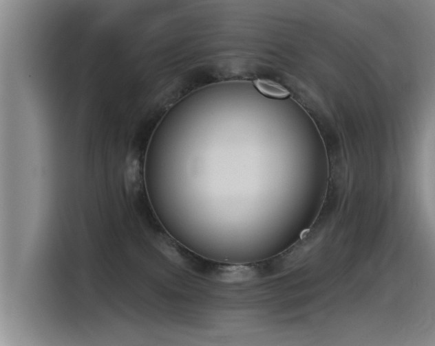 X0000115530087200911061449