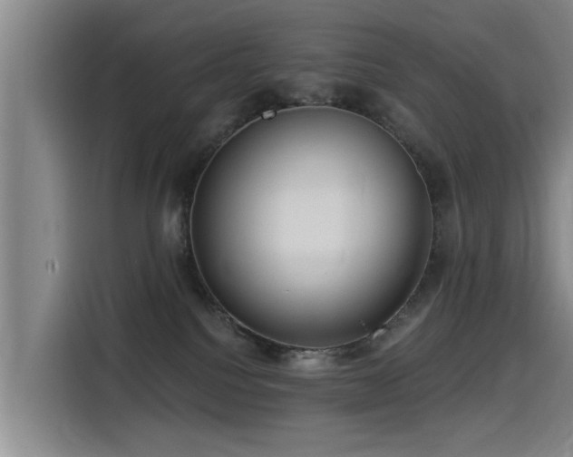 X0000115530088200911061449