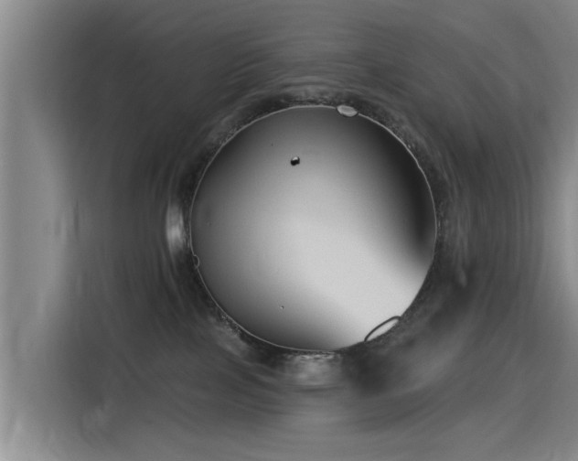 X0000115530089200911061449