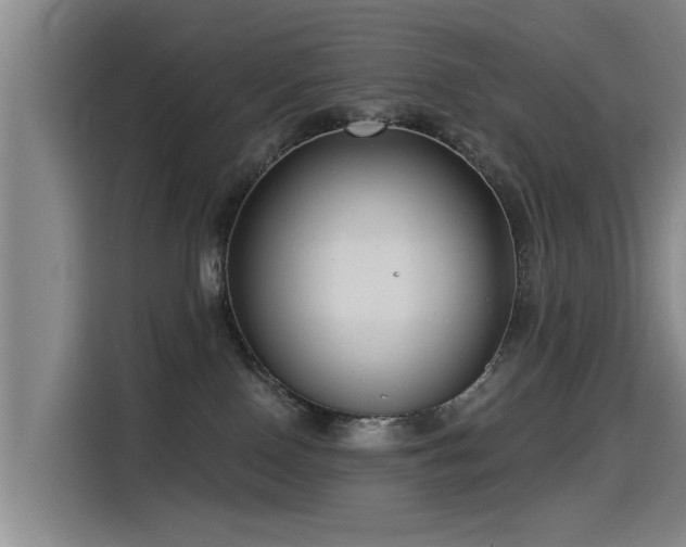 X0000115530090200911061449