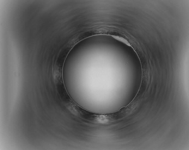 X0000115530091200911061449