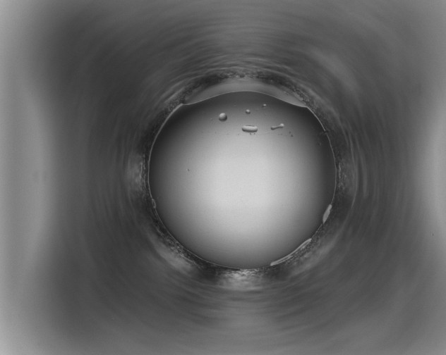 X0000115530092200911061449