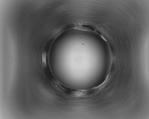 X0000115530094200911061449