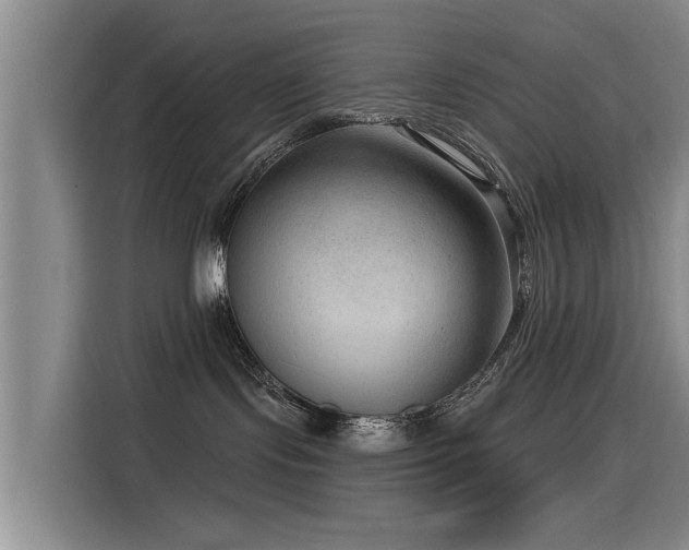 X0000115530095200911061449