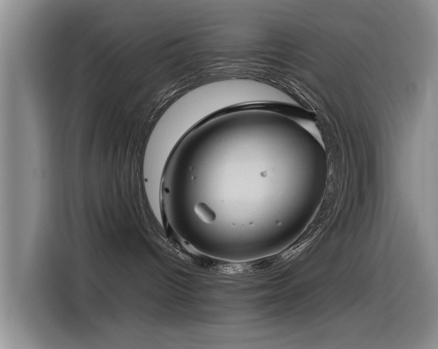 X0000115530096200911061449