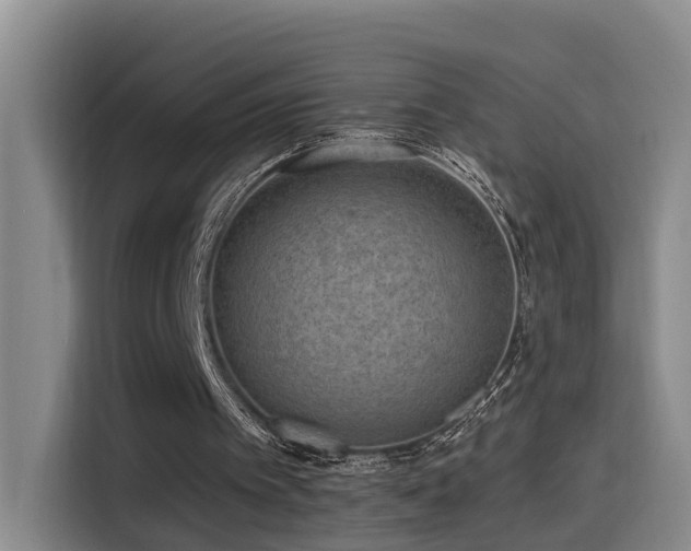 X0000115530097200911061448