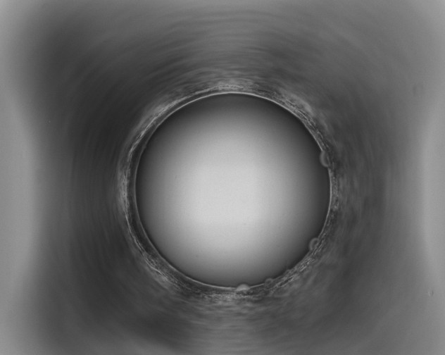 X0000115530098200911061448