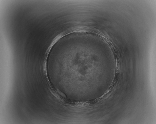 X0000115530099200911061448