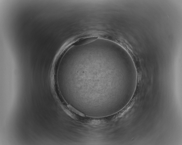 X0000115530101200911061448