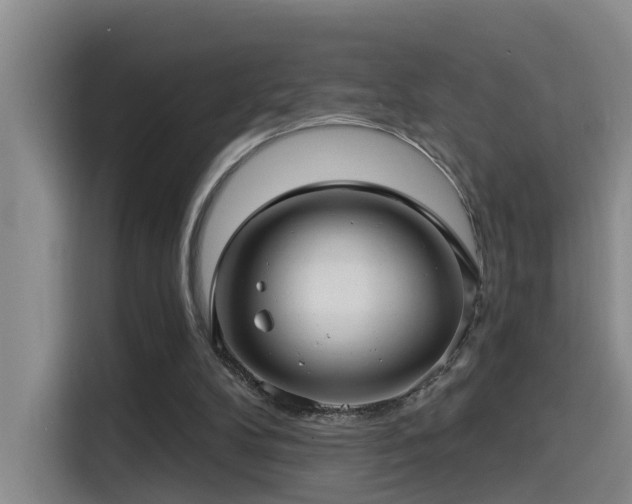 X0000115530104200911061448