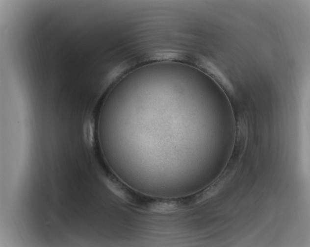 X0000115530110200911061448