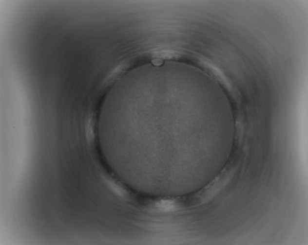 X0000115530114200911061448