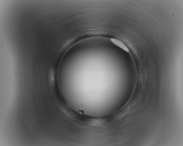 X0000115530115200911061448