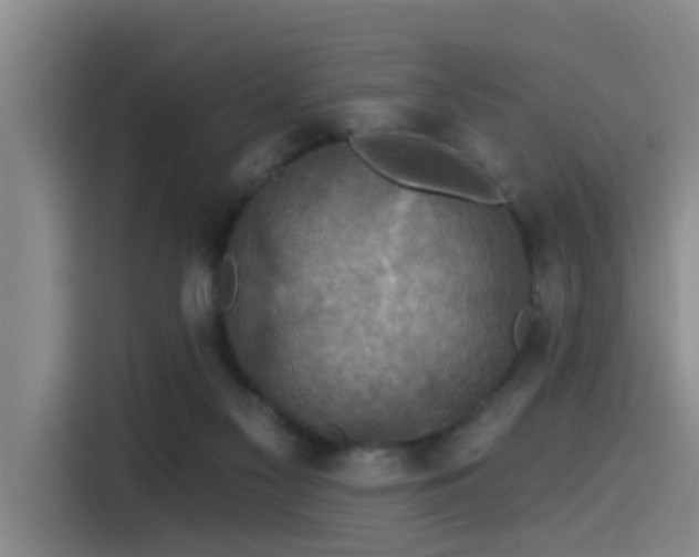 X0000115530117200911061448