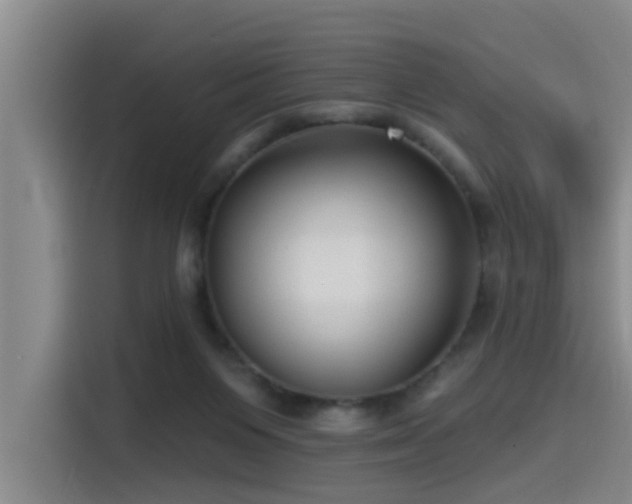 X0000115530119200911061448