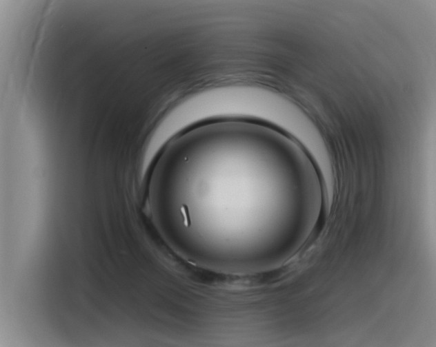 X0000115530120200911061448