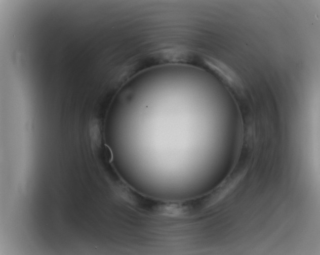 X0000115530121200911061448