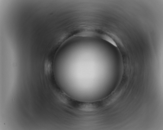 X0000115530123200911061448