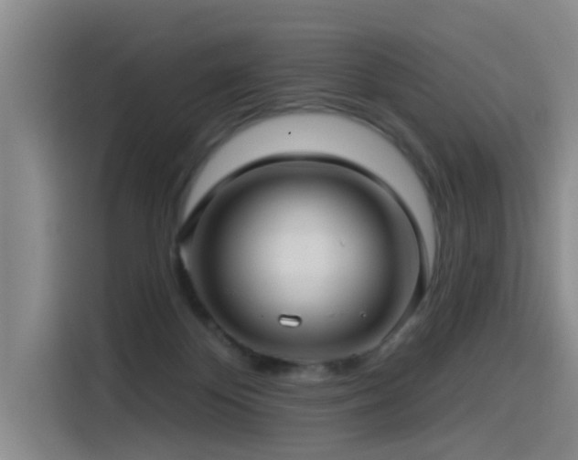 X0000115530124200911061448