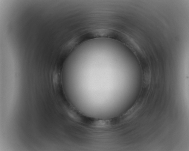 X0000115530126200911061448