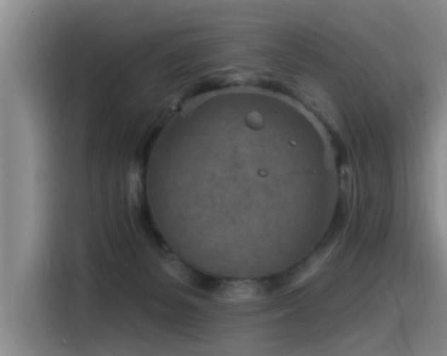 X0000115530127200911061448