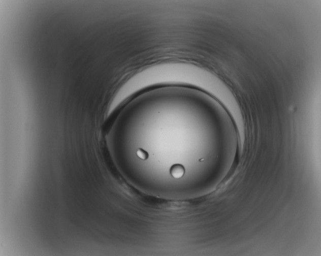 X0000115530128200911061448