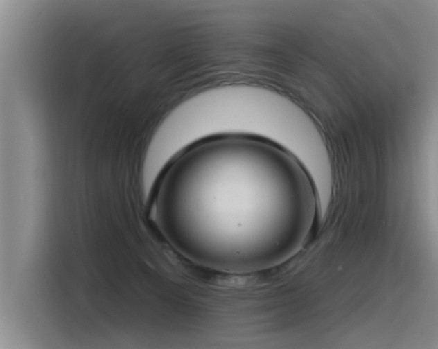 X0000115530129200911061448