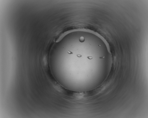 X0000115530131200911061448