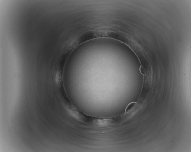 X0000115530134200911061448