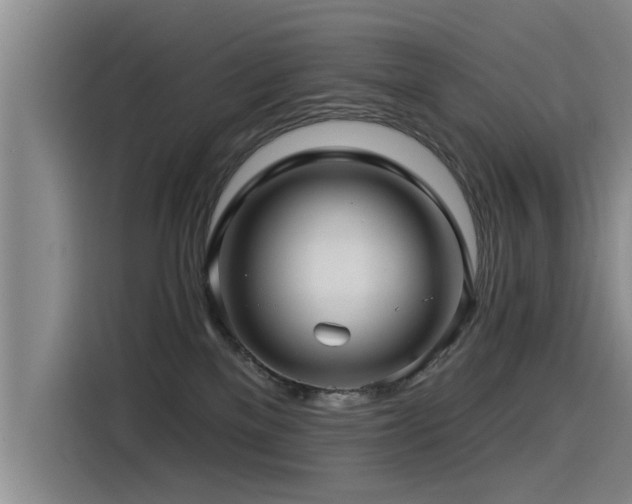 X0000115530137200911061448