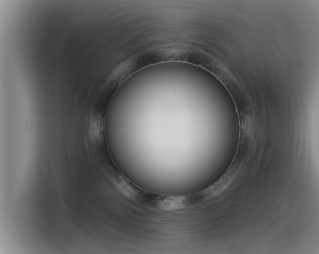 X0000115530138200911061448