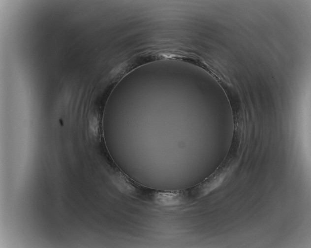 X0000115530139200911061448