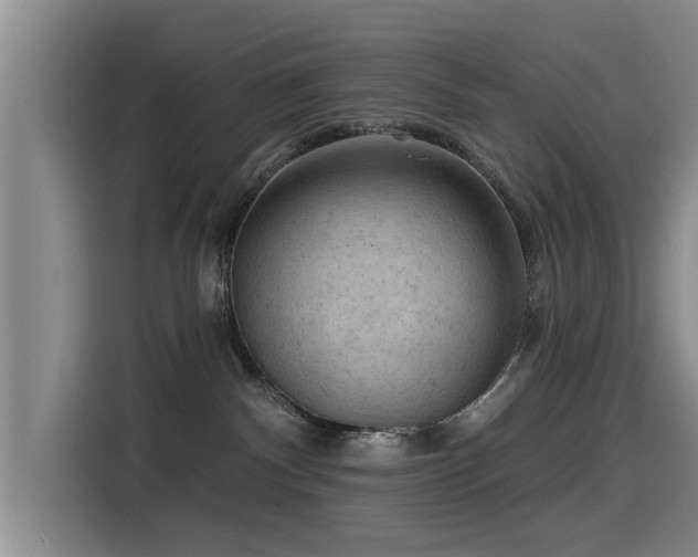 X0000115530140200911061448