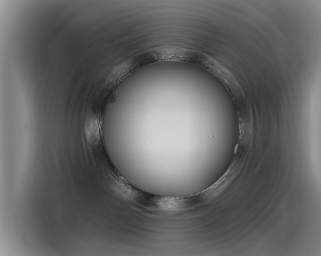 X0000115530142200911061447