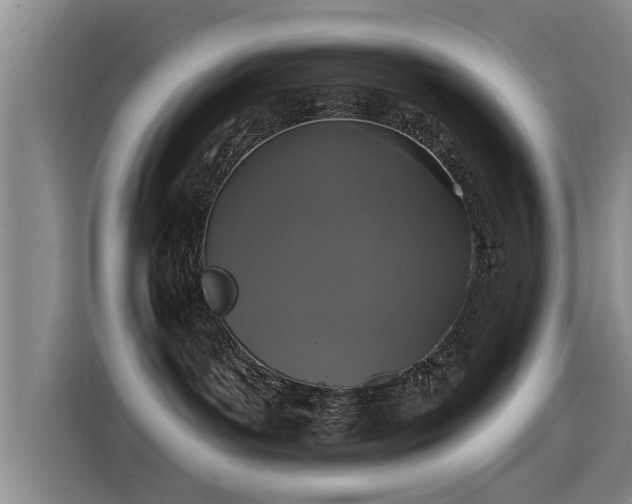 X0000115530143200911061447