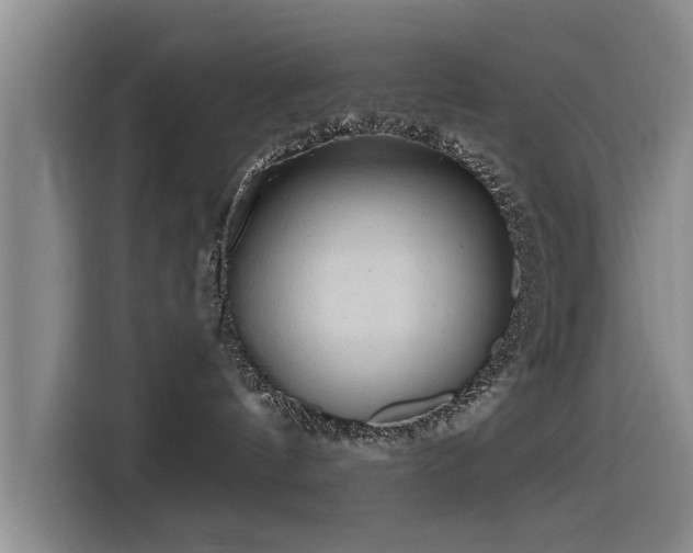 X0000115530144200911061447