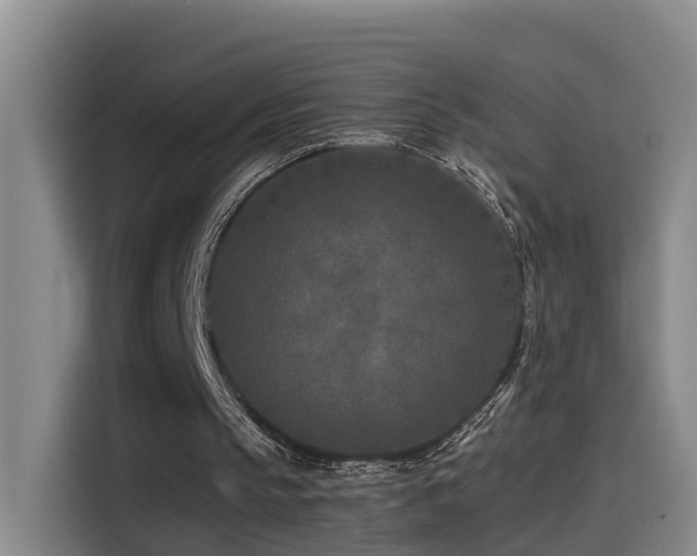 X0000115530145200911061447