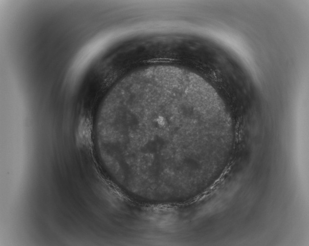 X0000115530146200911061447