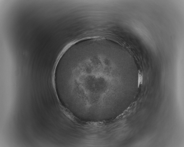 X0000115530147200911061447