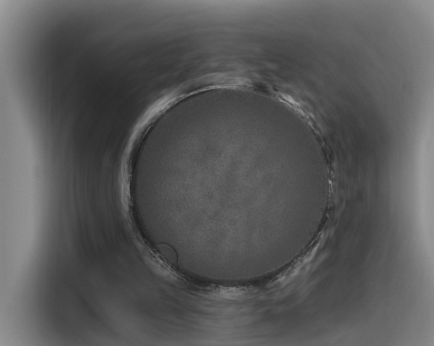 X0000115530149200911061447