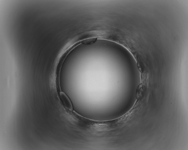 X0000115530150200911061447