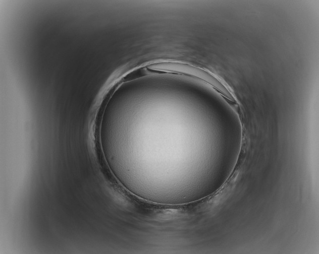 X0000115530151200911061447