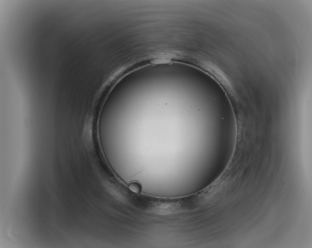 X0000115530155200911061447